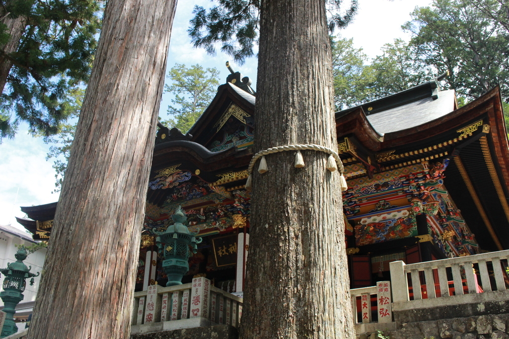 三峰神社　御神木