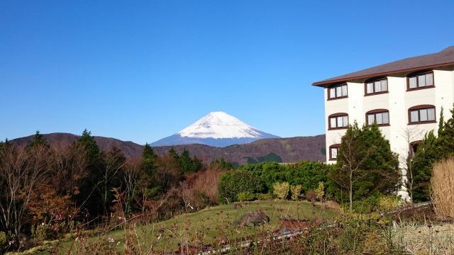 ホテルグリーンプラザ箱根からの富士山