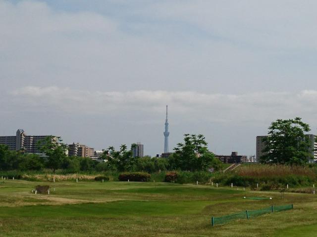 荒川・扇河川健康公園　グラウンドからの眺め