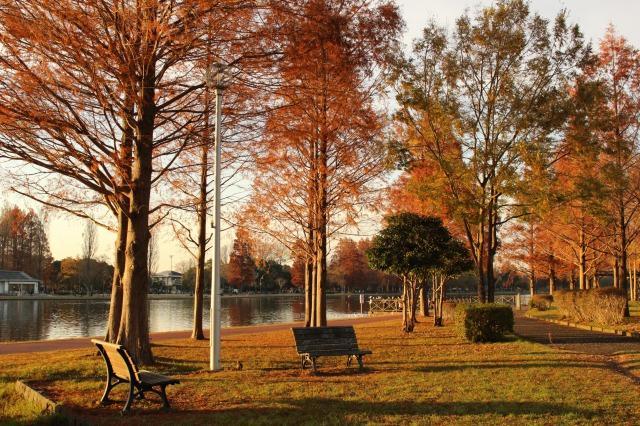 水元公園　紅葉