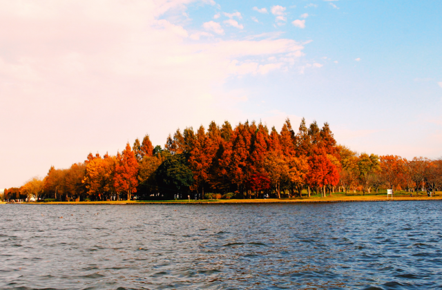 水元公園　紅葉