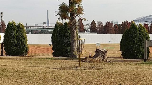 辰巳の森海浜公園