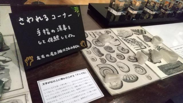 本棚劇場　展示